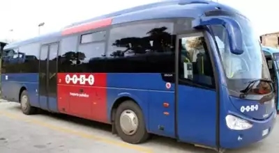 bus