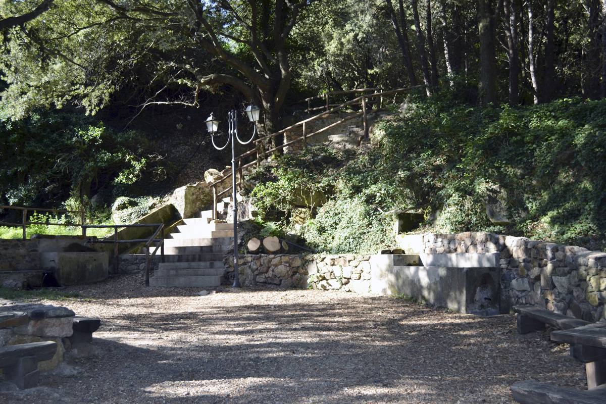 descrizione immagine